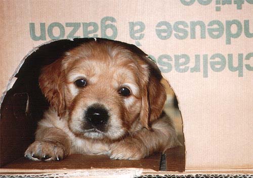 nochmals Happymover Ashley