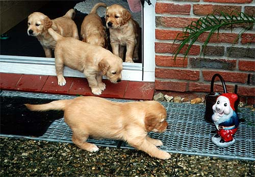 .. einer der ersten Ausfl&uuml;ge in den Garten