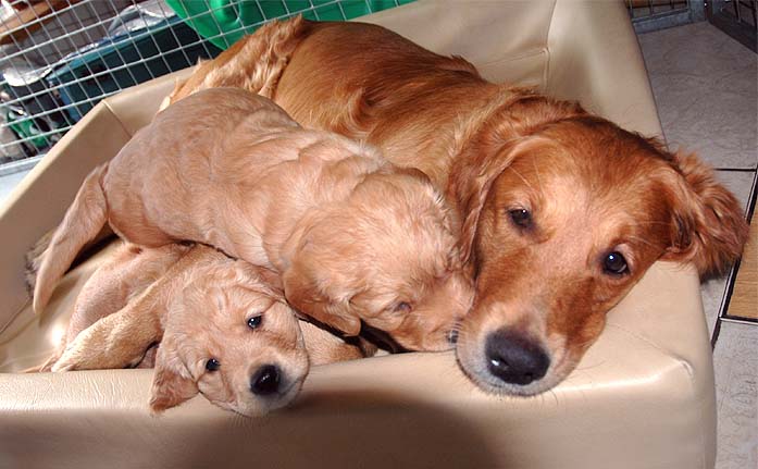 Schmusen mit Mama