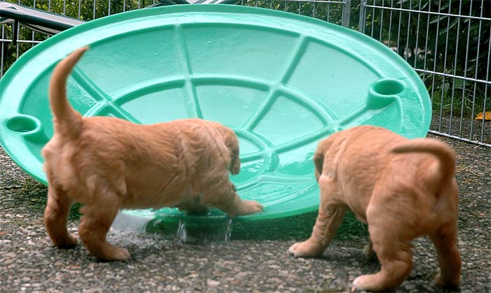 Wasserspiele (2)