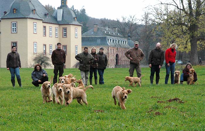 ... am 3.12.2006 in der Eifel.