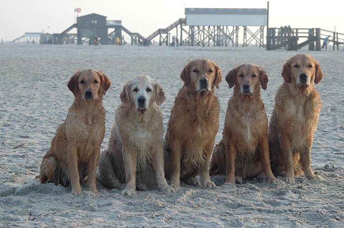 Fine, Oma Lisa, Onkel Chacon, Mutter Pearl, Onkel Cajun in St. Peter Ording Okt 2005